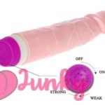 didlo in india |Cheap Penis Dildo with Vibration for Women