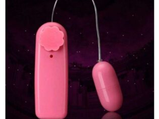 Single Jump Egg Vibrator Bullet Vibrator Clitoral G-Spot