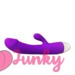 Purple Rabit Vibrator For Women