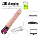 USB Charging Vibration Dildo Auto Heat Realistic Veined G Spot Clitoris Vibrator 12 Mode
