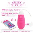 APP Smart Control ManNuo AiDi Jump Eggs Vibrator