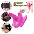 Wireless Remote Control Wearable Butterfly Vibrator For Women | Pink
