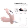 Wearable Panty Style Rechargeable Butterfly Vibrator with Wireless Remote Penis Dildo | Pink