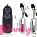 Adultjunky Multi Speed Remote Electric Nipple Clamps Vibrator Bullet Egg Sex Toys for Women India