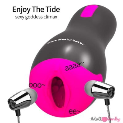 12 Vibration Functional Silicone Electric Auto Heating Voice Play Oral Sex Pocket Pussy