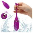 Fish Shape 10 Vibration Wireless Egg Vibrators Purple