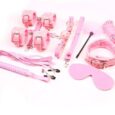 Pink SM Bondage Kit 10 Pieces For Women