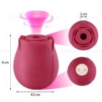 10 speed Rose Vibrator Sucker Massager Waterproof Sex Toys for Women