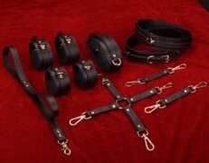 BDSM Sex Toys