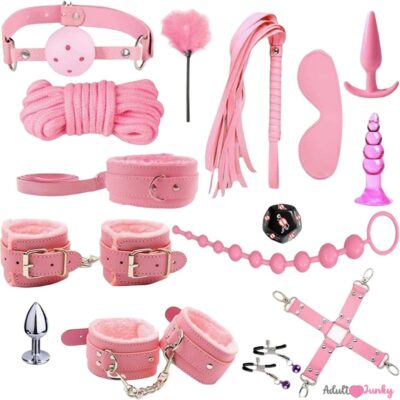Beginners 15 Pieces BDSM Bondage Kit Restraints For Couple