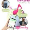 App Control 10 frequency Sharp Weapon Panty Vibrator Sex Toys For Women